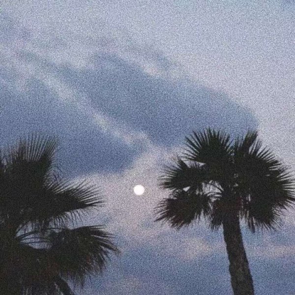 關于人生和夢想的很現(xiàn)實的經典哲理說說帶圖片4