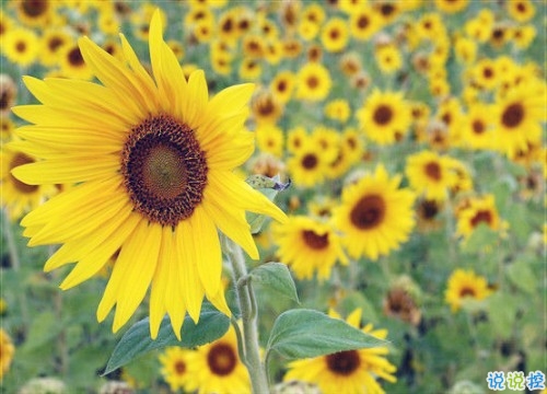 睡前說一句的微信晚安勵志句子 簡單正能量的晚安句子合集2