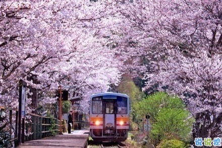 感悟生活的早安心情說(shuō)說(shuō) 陽(yáng)光這么好別辜負(fù)了今天12