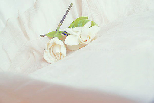 有哪些詩歌讀到后心里像開出了一朵花？6