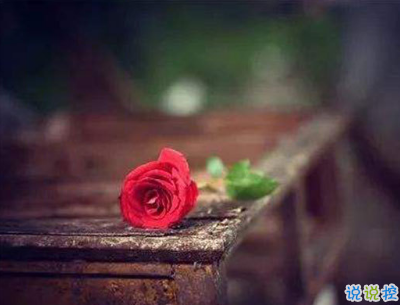 qq文藝傷感愛情說說帶圖片 這世界很大不刻意就不會再見了5