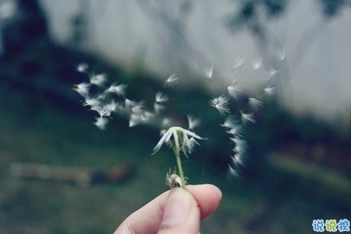 痛到心碎的傷感說(shuō)說(shuō)配圖 生活很現(xiàn)實(shí)的傷感說(shuō)說(shuō)9