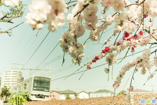 27句無(wú)限浪漫的表白情話合集 真心愛(ài)一個(gè)人的表白說(shuō)說(shuō)1