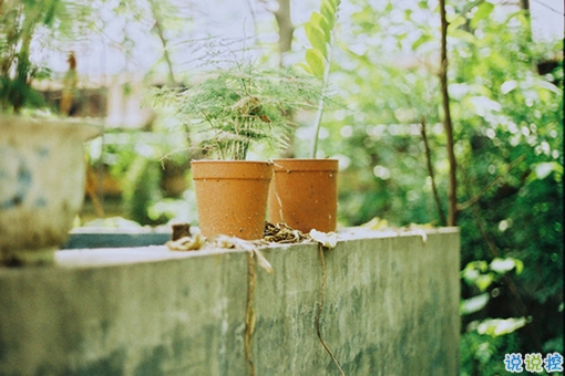 成長(zhǎng)青春治愈系句子帶圖片 很暖心的治愈系說說簡(jiǎn)短一句話15
