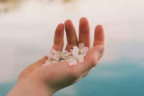 關(guān)于人生和愛情的唯美小清新句子帶圖片 我路過萬家燈火而你才是我的歸途11