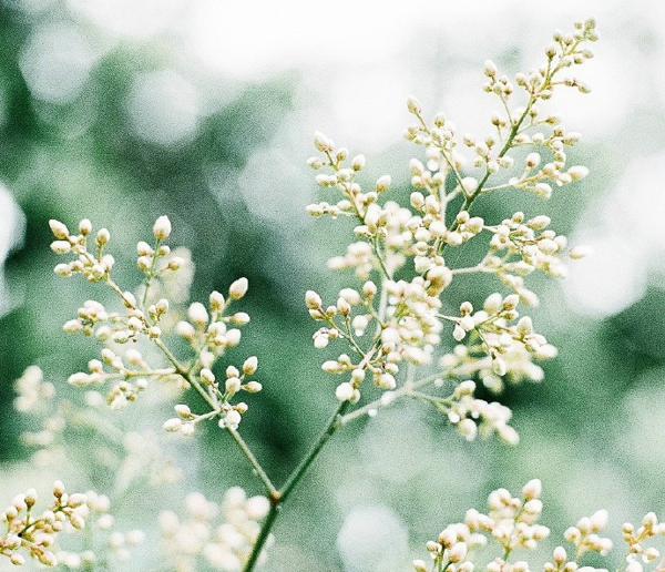 關于一個人旅行的精辟哲理說說帶圖片 每一次旅行其實都是一場修行2