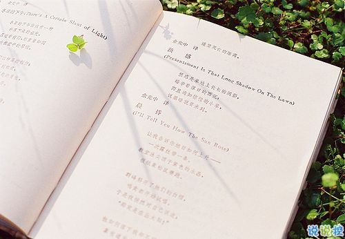 霸氣個(gè)性說(shuō)說(shuō)帶圖片情感有關(guān)的 很火爆的微信霸氣說(shuō)說(shuō)配圖5