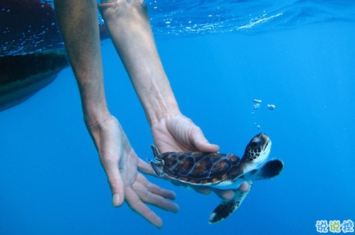 刺痛內心的傷感說說帶圖片 2019最新失落傷感的句子合集12