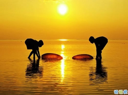 最新秀恩愛(ài)的幸福心情說(shuō)說(shuō) 雙11狂虐單身人士的說(shuō)說(shuō)大全1