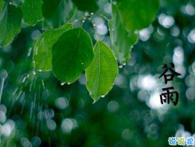 2019谷雨朋友圈說說配圖 谷雨節(jié)發(fā)朋友圈的說說優(yōu)美14