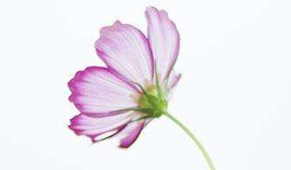 在夢(mèng)里也會(huì)潸然淚下的說(shuō)說(shuō)帶圖 如果時(shí)光倒流峩捫能抓得住什么11