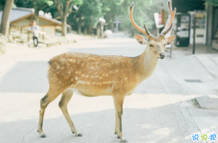 表示無(wú)聊的朋友圈說(shuō)說(shuō)帶圖片：無(wú)聊，是人生的一種正?，F(xiàn)象1