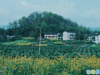 快手公布對(duì)象說(shuō)說(shuō)精選帶圖片 公布戀愛(ài)關(guān)系的說(shuō)說(shuō)12