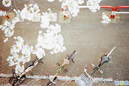 我們都琢磨不透的愛情說說帶圖片 忘記一個人的傷感說說心情9