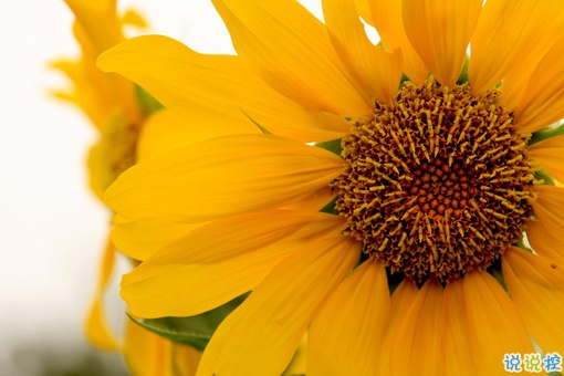 2019經(jīng)典語錄人生感悟 靠天靠地還要靠自己2