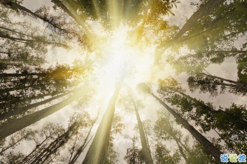 心里委屈難過的說說帶圖片 適合心情不好時發(fā)的微信說說 11