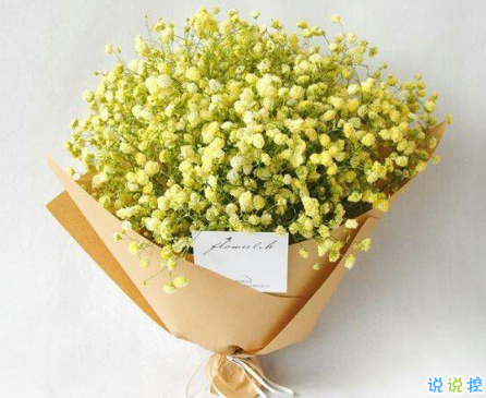 晚安心語(yǔ)唯美配圖加文字：比起早安，我更喜歡晚安11