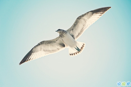 治愈系個性唯美說說帶圖片 2018朋友圈很火的唯美文藝說說配圖12