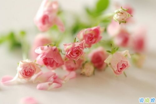 致拼搏路上的自己說(shuō)說(shuō)超勵(lì)志帶圖片 感慨人生的經(jīng)典說(shuō)說(shuō)配圖10