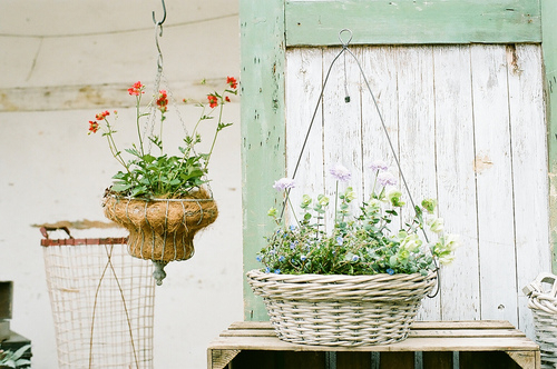 甜蜜浪漫情話只想說給你聽的說說帶圖片 想化作一陣風(fēng)輕柔的撫過你6