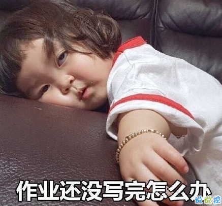 關(guān)于快開學(xué)的搞笑說說帶圖片2018 適合開學(xué)發(fā)的朋友圈說說好玩8