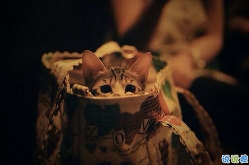 我們一路走來都很堅強的勵志說說帶圖片 很正能量的經(jīng)典勵志說說3