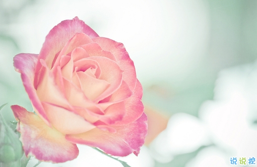 高冷超拽個(gè)性說說大全 抖音酷到?jīng)]朋友的說說2