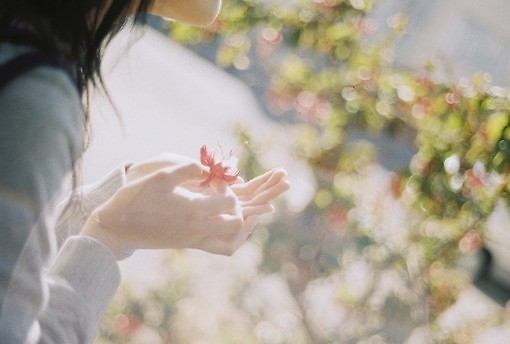 超唯美文藝的說說帶圖片 你看沒看見我都盛開風(fēng)來不來芬芳都在4