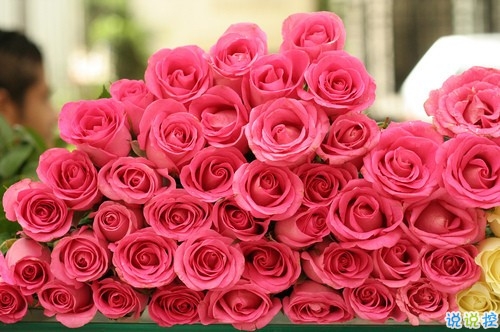 抖音最火經(jīng)典說說致自己 最新個(gè)人說說經(jīng)典勵(lì)志帶圖片14