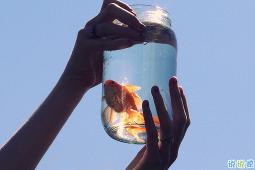 值得收藏的人生大道理勵(lì)志說(shuō)說(shuō)帶圖片 好聽(tīng)的激勵(lì)人心的說(shuō)說(shuō)配圖1