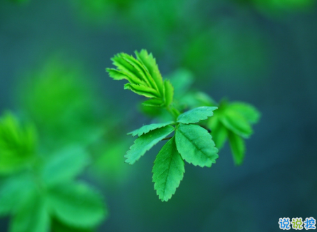 微信朋友圈治愈系早安心語說說 溫暖小清新早安說說大全6