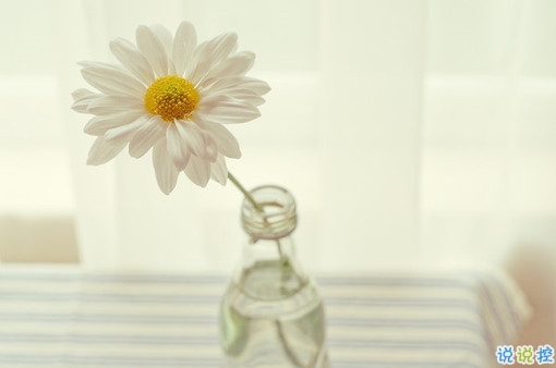 微信朋友圈干凈簡單的句子 無聊發(fā)朋友圈的簡短句子合集2