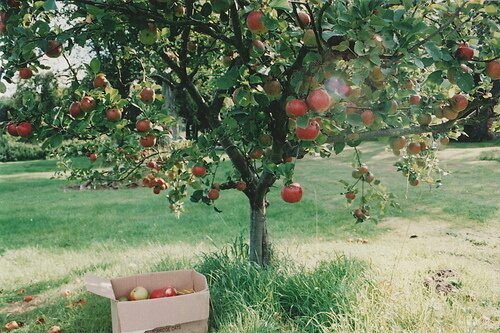 經(jīng)典的英文哲理說說帶圖片 小清新和文字控喜歡的英文說說10