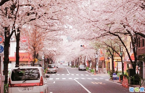 2019最新三月經(jīng)典勵志句子致自己 2019三月加油微信說說大全1