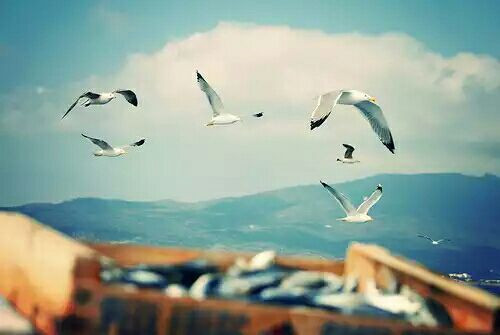 讓人難過傷感愛情說說帶圖片 差一點就抱住他了我再睡一會兒試試5