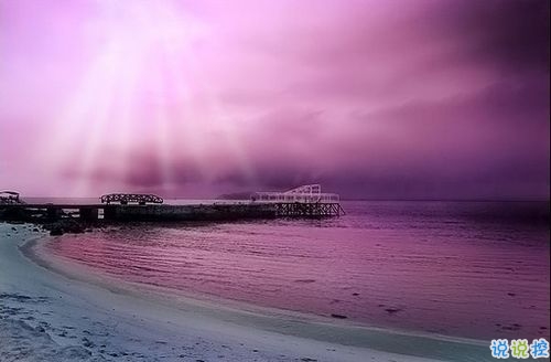 心已經(jīng)涼透的傷感句子 累感不愛的說說心情短語2