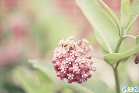 很特別適合女生的個性說說大全 朋友圈女生簡單有氣質(zhì)的話語1