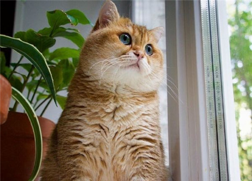 可以戳中中你笑點(diǎn)的搞笑說說帶圖片3