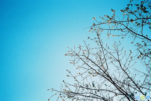 心好累的傷感說(shuō)說(shuō)非主流帶圖片 喜歡一個(gè)人卻得不到的悲傷說(shuō)說(shuō)7