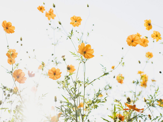 生活說(shuō)說(shuō)很現(xiàn)實(shí)的說(shuō)說(shuō)2018心情短語(yǔ) 穿透人心的說(shuō)說(shuō)簡(jiǎn)短一句話2