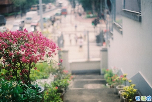 表達(dá)愛意的唯美句子配圖 肯定能打動(dòng)你心的唯美說說帶圖片13