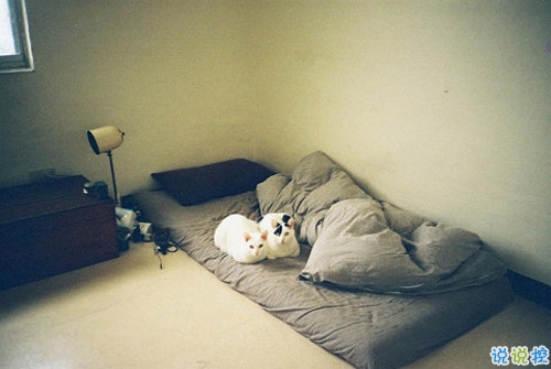 12月你好唯美說說簡短一點的帶圖片 2018十二月你好說說最新發(fā)朋友圈的12