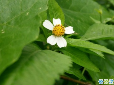 生日朋友圈寫給父母的話配圖 生日感謝父母的話經(jīng)典簡短2