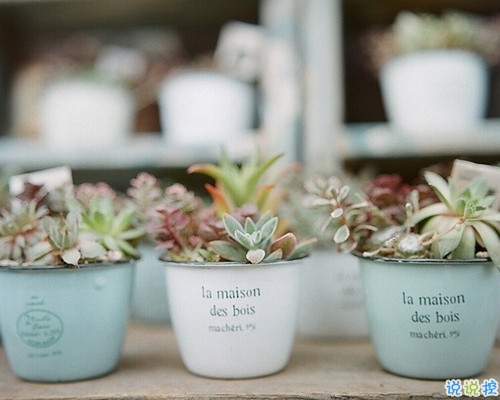 唯美詩(shī)意的說(shuō)說(shuō)帶圖片 我飲盡漁火明月秋色無(wú)邊3