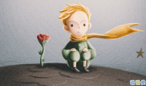 經(jīng)典小王子中的有哲理而又簡單的句子 如果你被一朵花馴養(yǎng)13