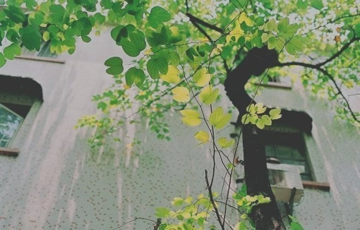 關(guān)于生活的有點傷感但很現(xiàn)實的圖片說說 哭也不會改變什么這個世界從來不會對任何人溫柔8