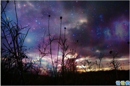 睡前一條朋友圈的經(jīng)典說說帶圖片 比愛更深刻經(jīng)典說說8