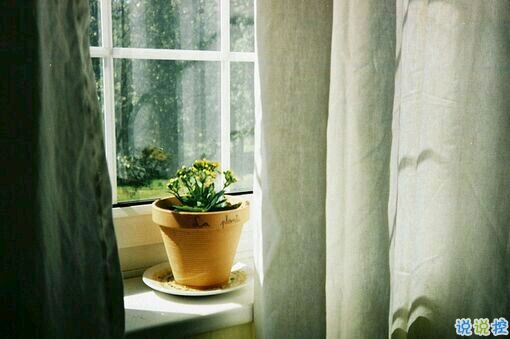  最暖心的一句話說(shuō)說(shuō)一秒被融化 那些溫暖人的經(jīng)典說(shuō)說(shuō)帶圖片10