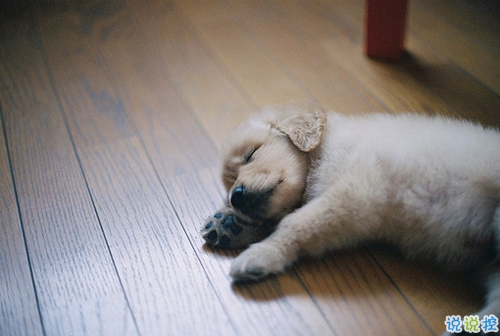 抖音最熱門流行的個(gè)性說說合集 愛拍照的女生手機(jī)都不會(huì)太差1