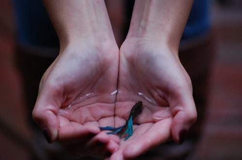 提到愛情有時會心痛心碎的傷感說說帶圖片13